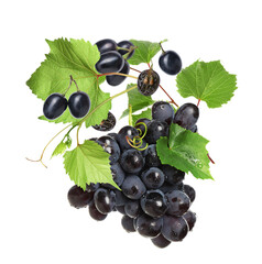 Fresh grapes in air on white background