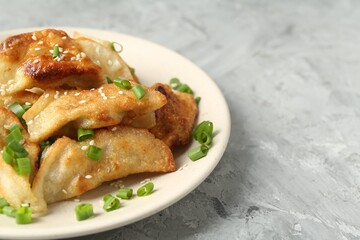 Tasty fried gyoza (dumplings) on light grey table, closeup. Space for text