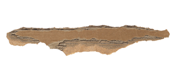 Blank ripped cardboard scraps isolated on white, clipping path