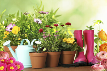 Gardening equipment and blooming flowers on wooden table outdoors