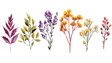 Hand-drawn watercolor autumn leaves and wildflowers. Botanical illustration with fall plants, foliage, and floral twigs © Hanna