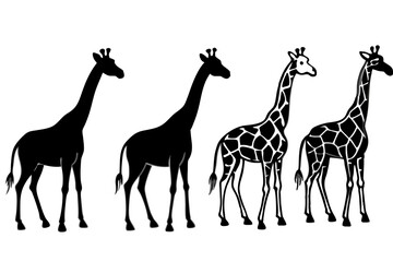 set of Giraffe  Silhouette vector illustration