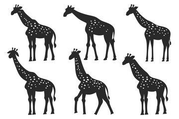 set of Giraffe  Silhouette vector illustration