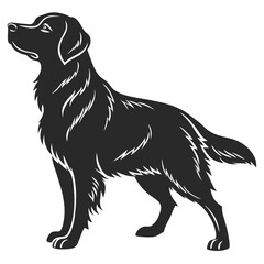 Golden Retriever  Silhouette vector illustration