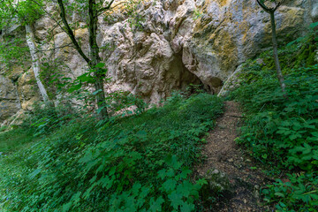 Trail through Lush Greenery and Rocky Formations in the Picturesque Danube Valley near Beuron
