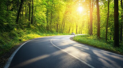 Fototapeta premium Scenic sunlit forest road with car on a curved pathway through lush greenery