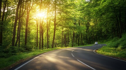 Fototapeta premium Serene forest road with sunlight casting through trees and a car journeying ahead