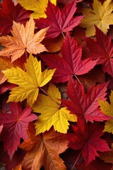 Pile of colorful autumn leaves, close-up detail, autumn leaves, texture