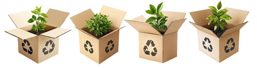 Set of green plants growing in recycled cardboard boxes, isolated on transparent cutout background