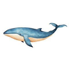 Obraz premium Majestic blue whale swimming gracefully in ocean, showcasing its beauty and size