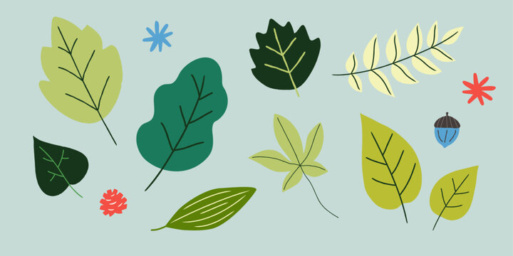 Seasonal leaves in various shapes green
