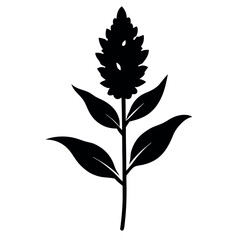 a-black-silhouette-amaranth-flower--minimalistic