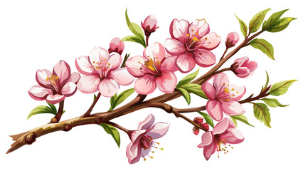 Obraz premium Cherry Blossom Branch Watercolor Illustration on White or Transparent Background. Perfect for: Hanami, Spring Festivals, Weddings