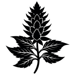 a-black-silhouette-amaranth-flower--minimalistic