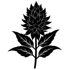 a-black-silhouette-amaranth-flower--minimalistic