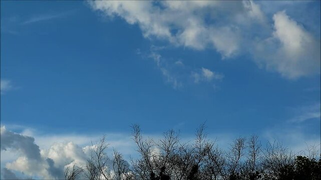Time Lapse Footage of White Clouds Flowing on Blue Sky over Dry Tree Branches