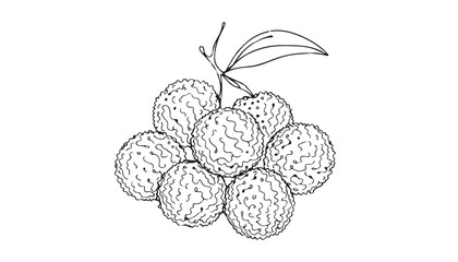 Continuous one single minimal line drawing lychee