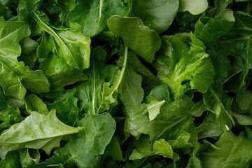 Freshly harvested green leafy vegetables in a natural arrangement showcasing diverse textures and colors