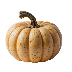 Pumpkin with Curved Lines and Stem