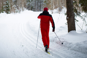 Cross-country skiing.A skier goes skiing in winter on a ski run.