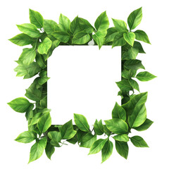rendering of a green leaf frame with a blank signboard, isolated on a white background