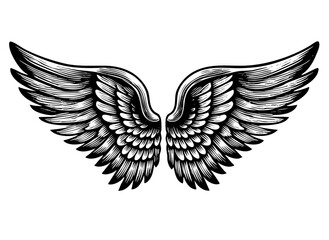 Obraz premium Wings pair sketch engraving black and white outline. Scratch board imitation. illustrated in vintage line art style on a white background.