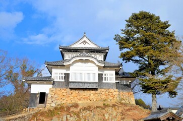 青空に映える備中松山城 天守閣