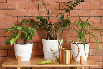 Plants with gardening tools on shelf near brick wall