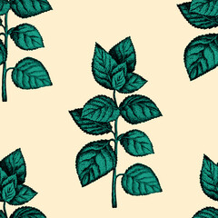 Floral seamless with hand drawn color nettle leaves. Cute autumn background. Wildflower branches. Modern compositions. Fashion vector illustration for wallpaper, fabric, textile.