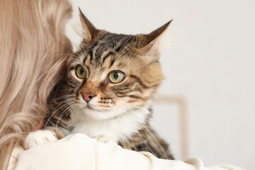 Beautiful mature woman with cute cat at home, back view © Pixel-Shot