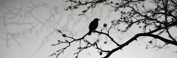 Black and white silhouette of a bird perched on a tree branch,  foliage,  silhouette
