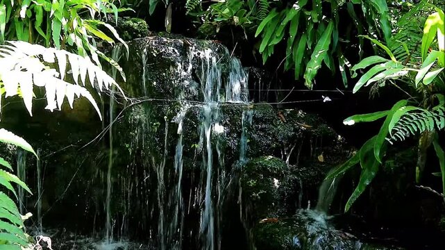 Footage of cascading garden waterfalls surrounded by tropical plants
