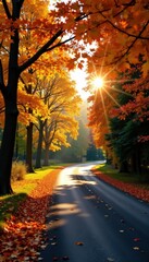 Obraz premium Autumn leaves frame sun-drenched asphalt road , october, nature