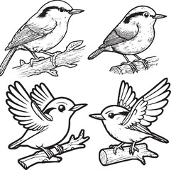 Charming Cartoon Bird Silhouettes - Black and White Avian Illustrations