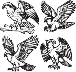Charming Cartoon Eagle Silhouettes - Black and White Avian Illustrations