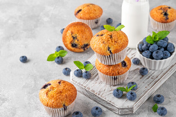 Delicious blueberry muffins on a wooden board on a gray concrete background with a bottle of milk, fresh berries and mint leaves.