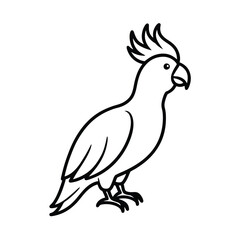 Fototapeta premium black and white parrot