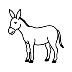 donkey isolated on white