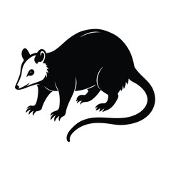 Fototapeta premium possum black silhouette vector 