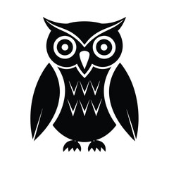 owl on white background