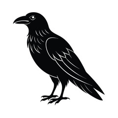 Obraz premium vector illustration of a crow