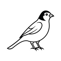 Obraz premium vector illustration of a bird