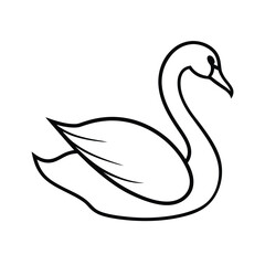 black swan vector
