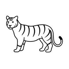 Obraz premium tiger vector illustration