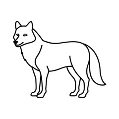 vector image of a wolf