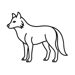 Obraz premium fox vector illustration