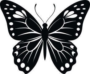 butterfly on a white background. Vector butterfly