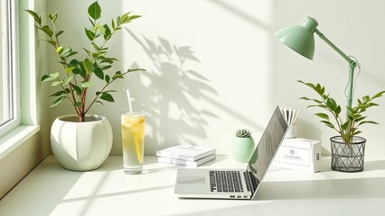 Sunny Home Office Desk Setup Laptop Plants Drink