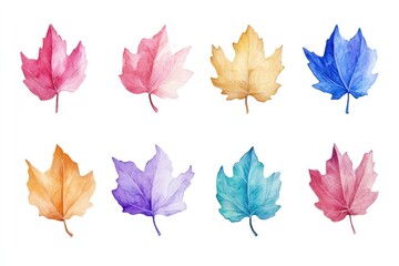 Obraz premium Eight watercolor maple leaves in various pastel colors isolated on white.