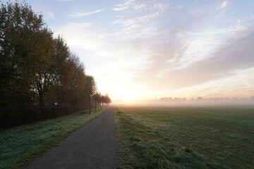 Misty Sunrise Over Rural Pathway in Germany